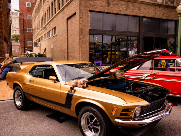 Ford Mustang Boss